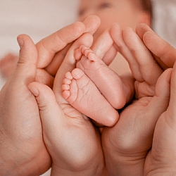 פגים ויילודים