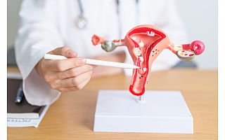 סרטן הפות (וולוה, עריה) VULVAR CANCER